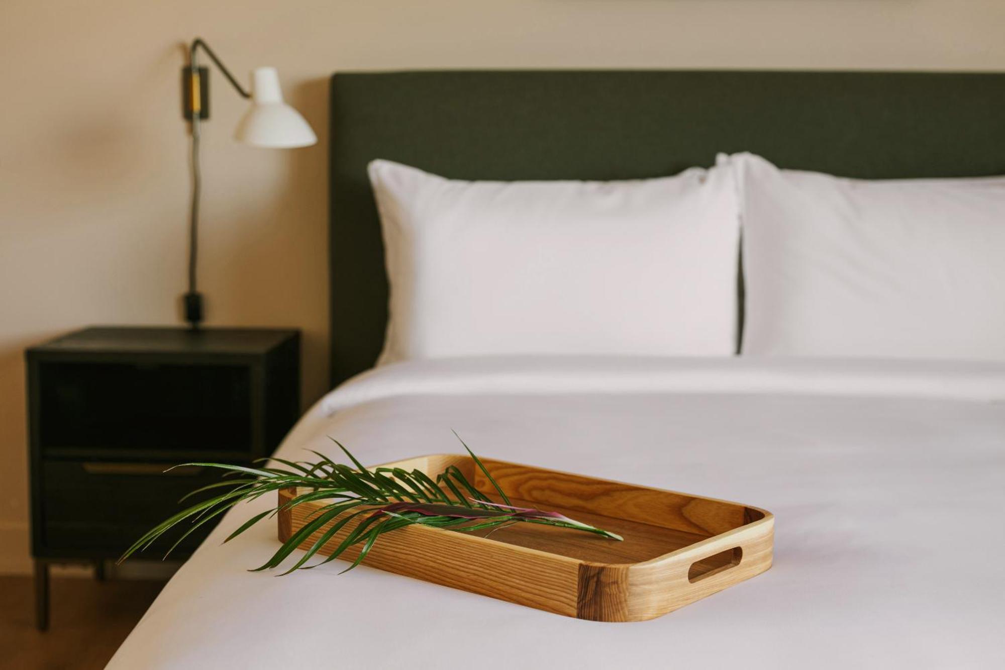 Sonder Solarena Hotel นิวพอร์ทบีช ห้อง รูปภาพ